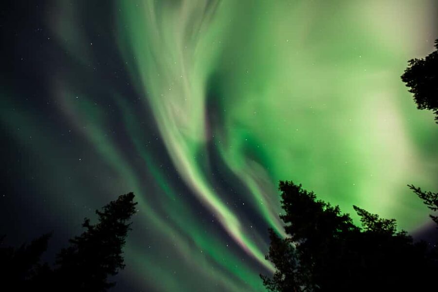 Rovaniemi: Northern Lights Tour – Guaranteed with Photos - Key points before you book