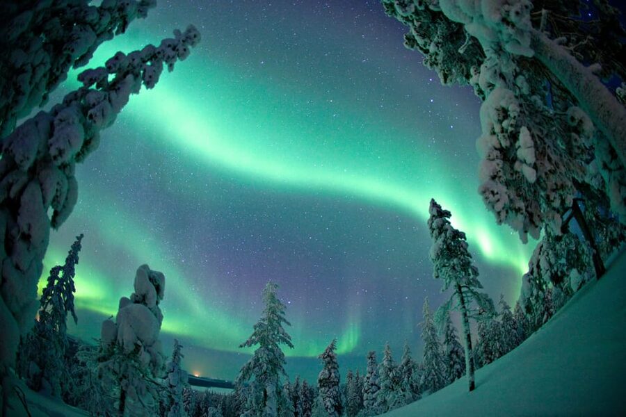 Rovaniemi: Northern Lights Tour with Electric Snowmobiles - Climbing toward the Aurora viewpoint
