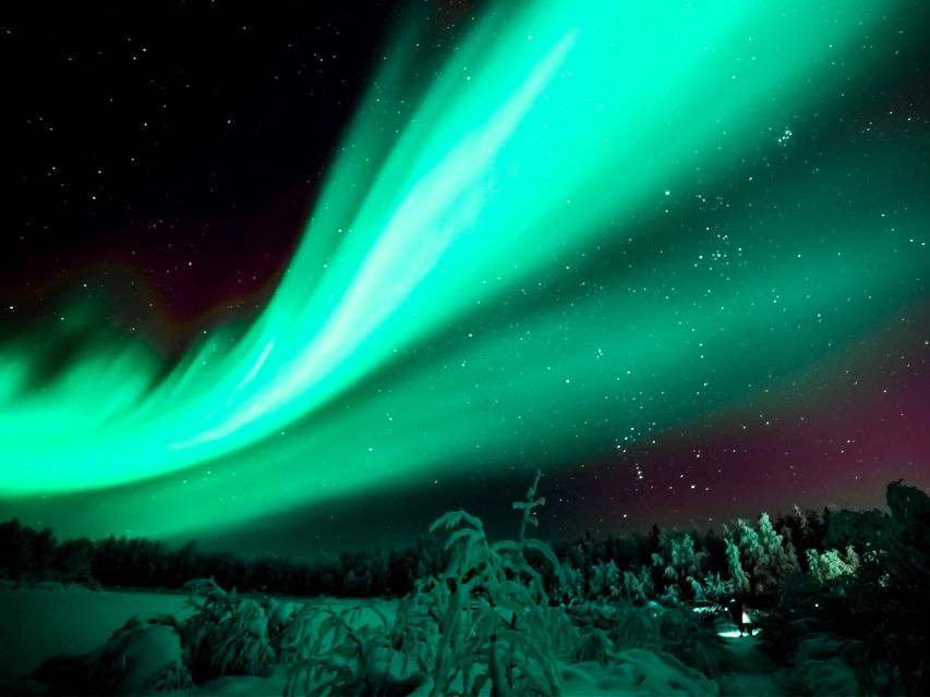 Rovaniemi: Northern Lights Tour with Guaranteed Sightings - Why this is a serious Aurora chase