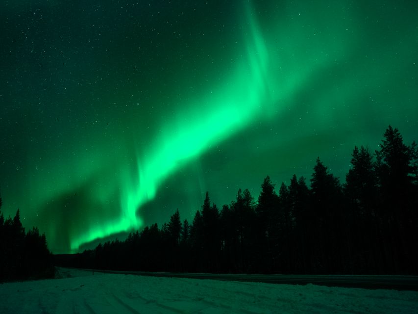 Rovaniemi: Northern Lights Tour with Guaranteed Sightings - The road is part of the experience
