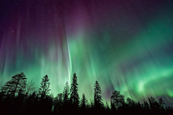 Rovaniemi: Private Aurora Tour with Guaranteed Sightings - Eight hours on the road: who will enjoy it