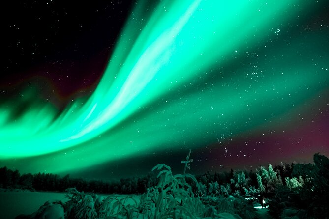 Rovaniemi: Private Aurora Tour with Guaranteed Sightings - A private group changes the mood