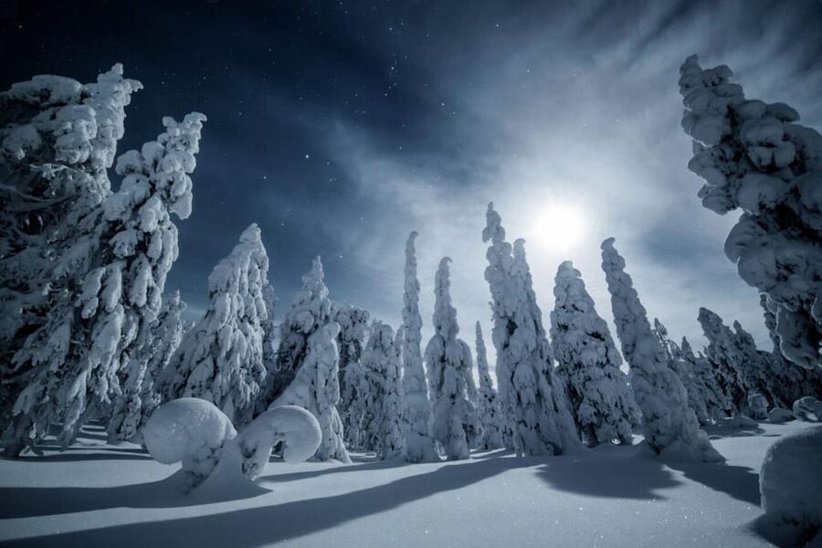 Rovaniemi: Reindeer Safari and Northern Lights Tour - Looking for the Northern Lights without false promises