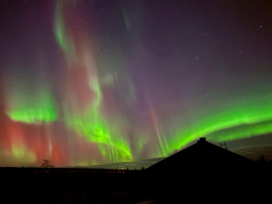Rovaniemi: Santa's Reindeer and Husky Safari with Aurora BBQ - Free time at Santa Village after the morning