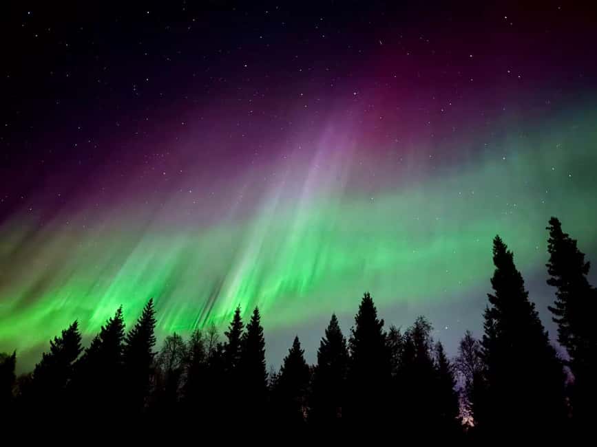 Rovaniemi: Santa's Reindeer and Husky Safari with Aurora BBQ - Kota shelter, berry tea, sausages, and marshmallows