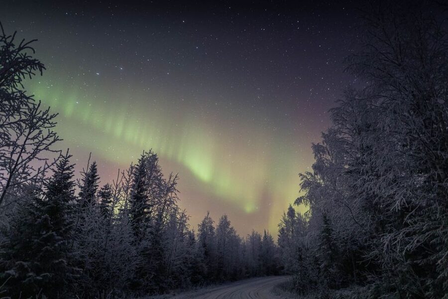 Rovaniemi: Sauna & Ice Swimming Tour with Dinner and Aurora - A smoked salmon dinner by the fire
