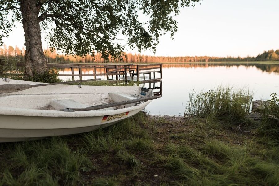Rovaniemi: Sauna & Ice Swimming Tour with Dinner and Aurora - What the $184 price really covers