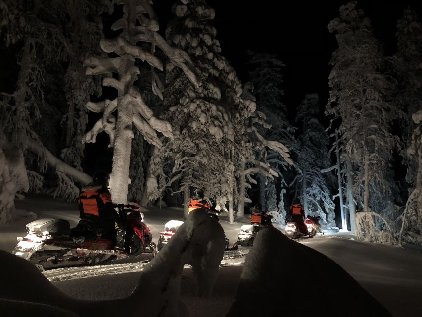 Rovaniemi: Search for Northern Lights Snowmobiling Trip - Who should book this snowmobile safari?