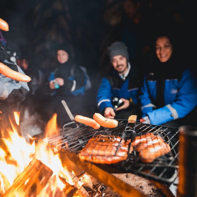 Rovaniemi: Search for Northern Lights Snowmobiling Trip - Sharing a snowmobile with another adult