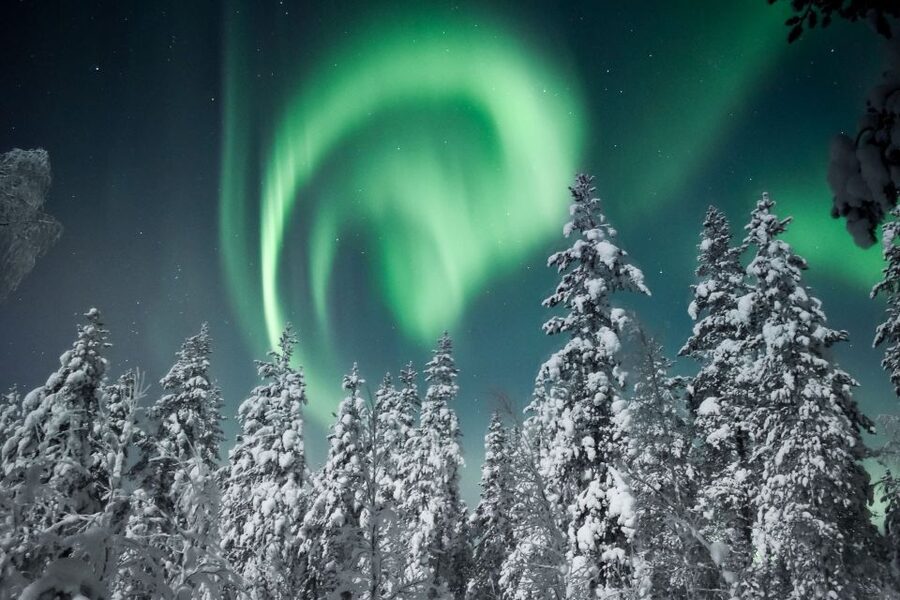 Rovaniemi: Search for Northern Lights Snowmobiling Trip - Is $199 fair value?
