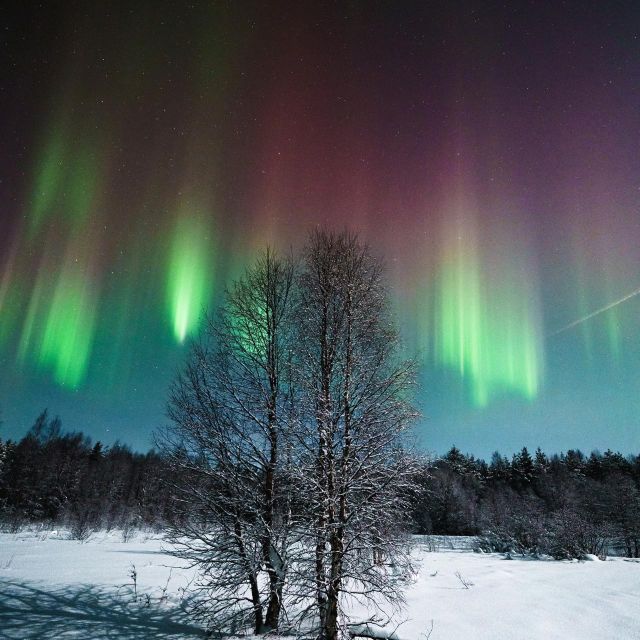 Rovaniemi: Small Group Aurora Hunt-full money back guarantee - Is $140 good value?