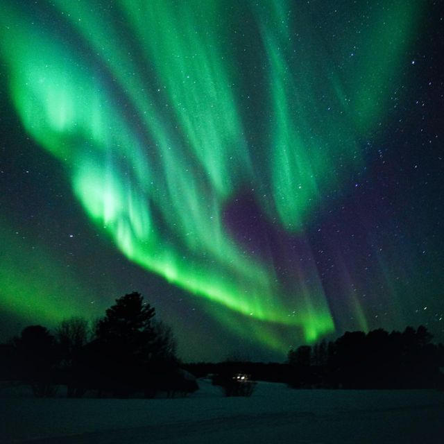 Rovaniemi: Small Group Aurora Hunt-full money back guarantee - Who should book this experience?