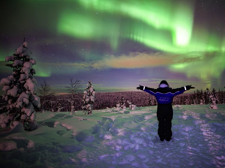 Rovaniemi: Small-Group Northern Lights Wilderness Tour - The first stop: frozen water, forests, and waiting