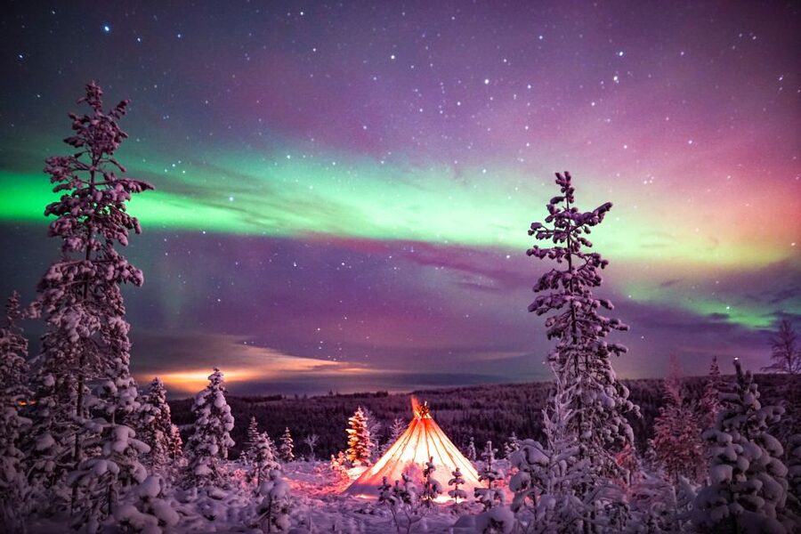 Rovaniemi: Small-Group Northern Lights Wilderness Tour - Professional photos are a real part of the value