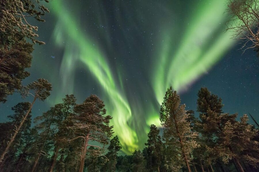 Rovaniemi: Snowy Forest Night Hike with Northern Lights - Why the forest walk is the main attraction