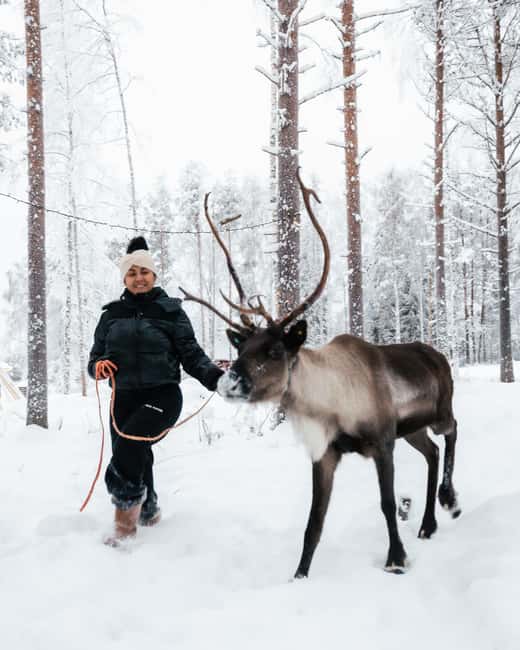 Rovaniemi Winter Activities & Northern Lights! - The café and souvenir shop