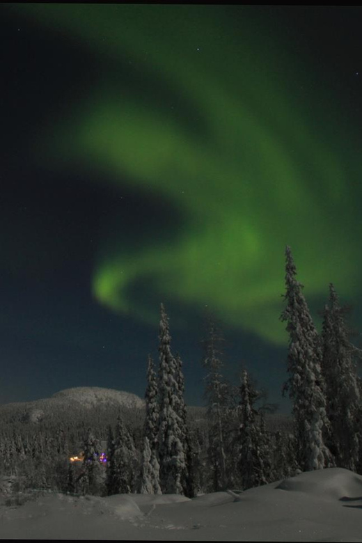 Ruka: Searching for the northern lights with snowshoes - Who should book this snowshoe experience?