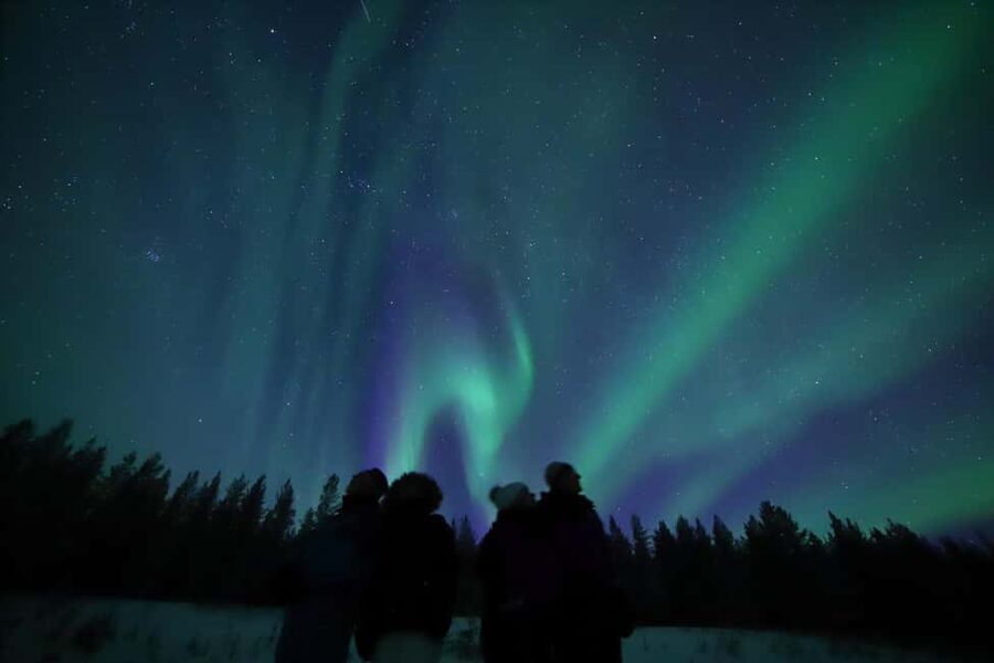 Saariselkä: Aurora Hunting & Reindeer Wilderness Experience - Fire, sausages, and hot berry juice