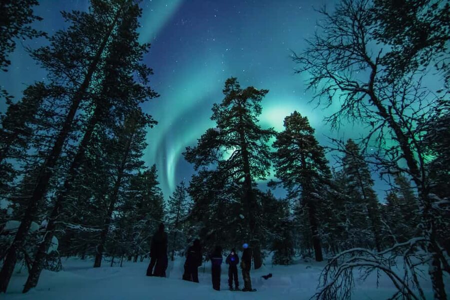Saariselkä: Aurora Hunting & Reindeer Wilderness Experience - What $152 buys you