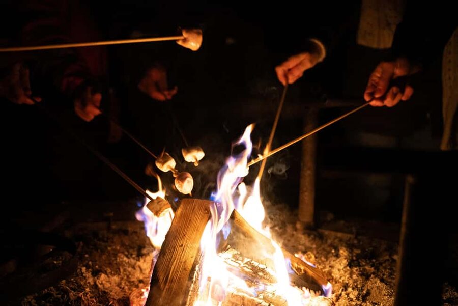 Saariselkä: Aurora Hunting & Reindeer Wilderness Experience - The real risk: no Northern Lights