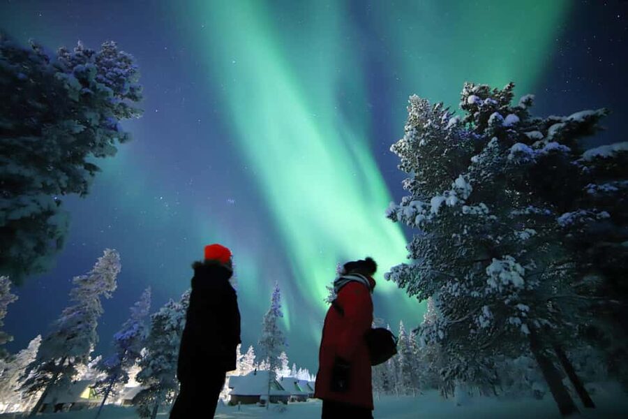 Saariselkä: Aurora Hunting & Reindeer Wilderness Experience - Starting at Kuukkeli Shopping Center
