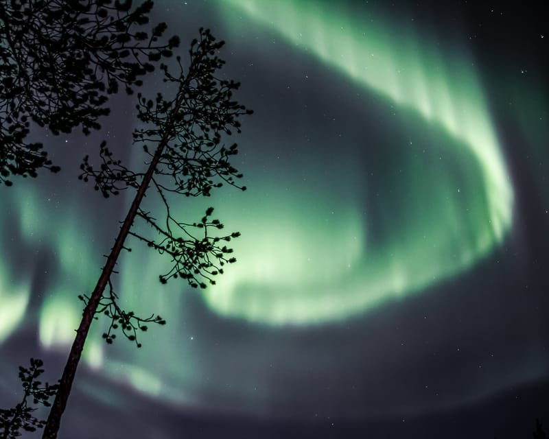 Saariselkä: Aurora Photo Tour by Car with Transfer & Drinks - Taking photos with the guide’s help
