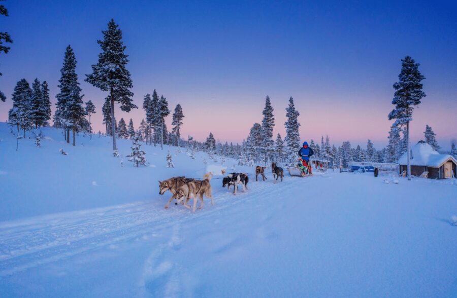 Saariselkä: Husky Safari with Aurora Borealis Hunt - Key points to know before booking
