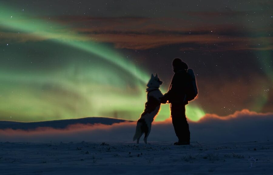 Saariselkä: Husky Safari with Aurora Borealis Hunt - Why this Saariselkä night tour feels different