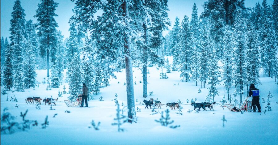 Saariselkä: Husky Safari with Aurora Borealis Hunt - Pickup from Saariselkä and the 20-minute drive