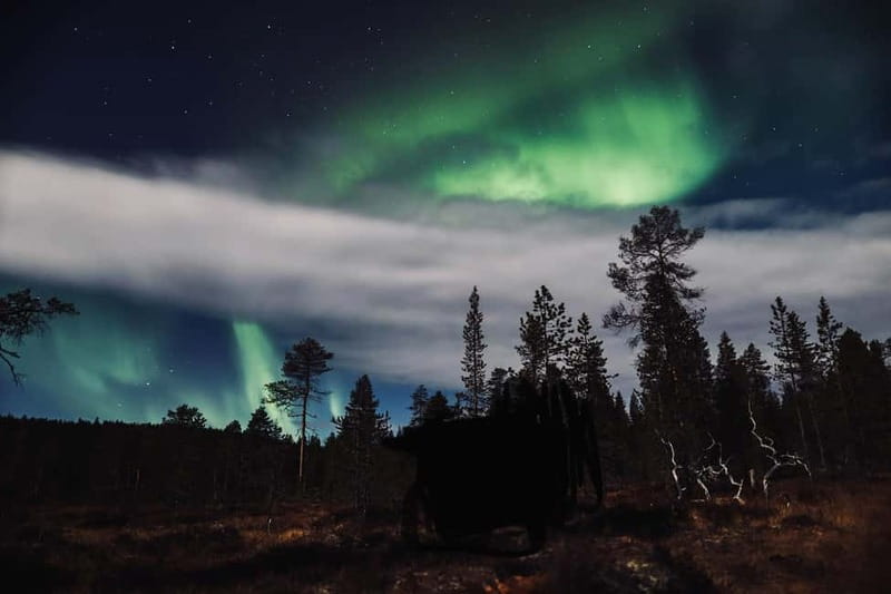 Saariselkä,Kakslauttanen: Aurora Hunting & Photography Tour. - Is $153 a fair price?