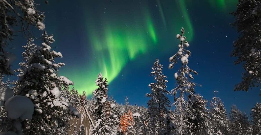 Saariselkä: Northern Lights Hunting Snowshoe Trip - What the 2.5-hour schedule means for you