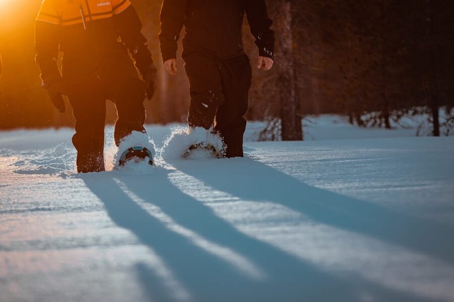 Saariselkä: Northern Lights Hunting Snowshoe Trip - Entering Saariselkä’s dark, snowy forest