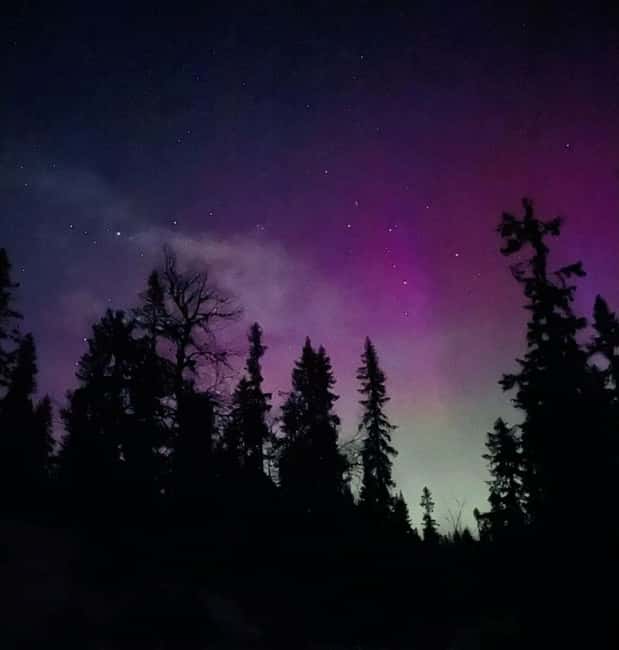 Sälen: Northern Lights Snowshoe Adventure with Pickup - What makes this Sälen outing worth your evening