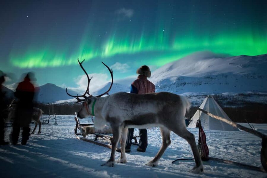 Sami Culture, Northern Lights & Reindeer Visit at Camp Tamok - Key points to know before booking