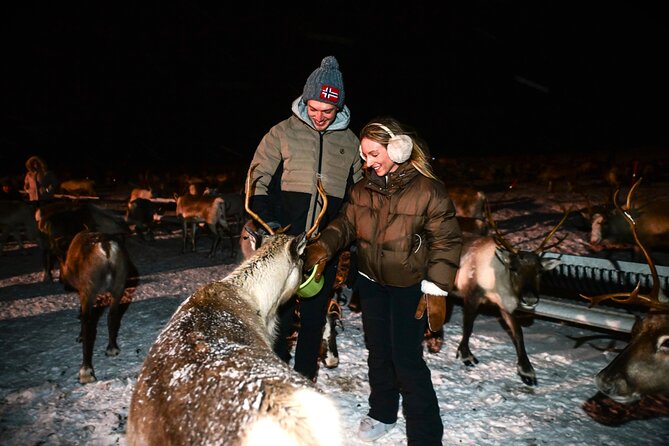 Sami Reindeer Camp Visit and Aurora Wonder Night - Aurora photographs are part of the package