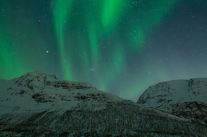 Sami Reindeer Camp Visit and Aurora Wonder Night - Who will enjoy this nine-hour evening?