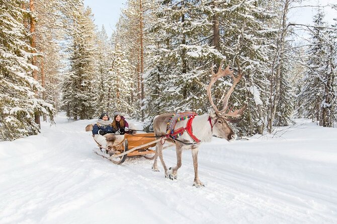 Santa's Reindeer & Husky Safari + Aurora BBQ in Rovaniemi - Fire, berry tea, and the BBQ question
