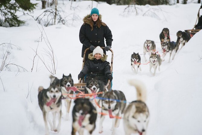 Santa's Reindeer & Husky Safari + Aurora BBQ in Rovaniemi - Guides can make or break the day