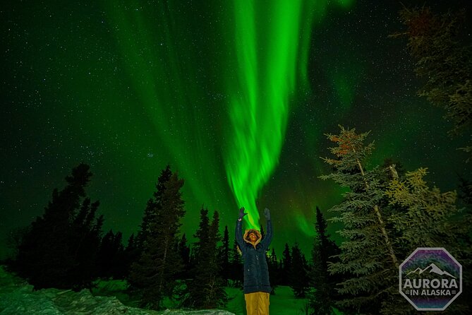 SkyChase™ | Northern Lights Experience - Free Photography & More - The campfire, food, and mobile lodge