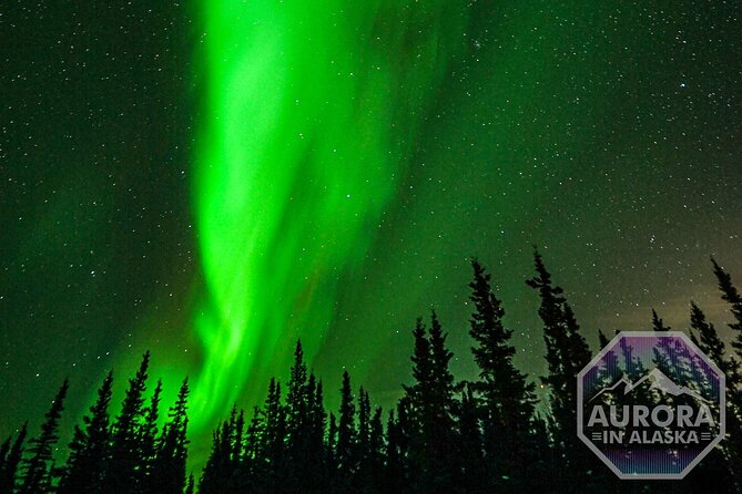 SkyChase™ | Northern Lights Experience - Free Photography & More - Photography that adds real value