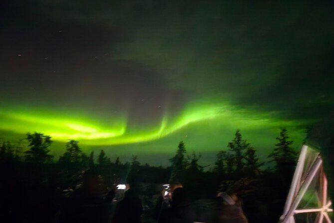 Skydome Aurora Viewing - Cold weather is part of the deal