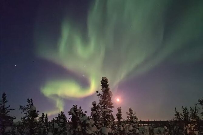 Skydome Aurora Viewing - Is $93.38 a fair price?