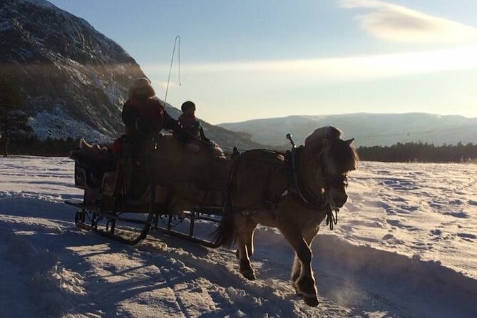 Sleigh ride Under The Northern Lights - Setting off beside the Alta River at 8:00 pm