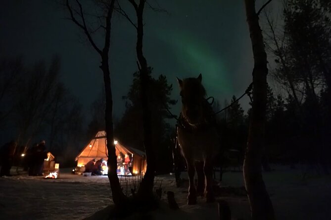 Sleigh ride Under The Northern Lights - A warm stop with reindeer pita and cinnamon roll