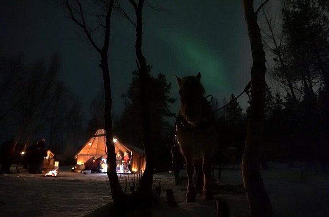 Sleigh ride Under The Northern Lights - What the slow horse ride feels like