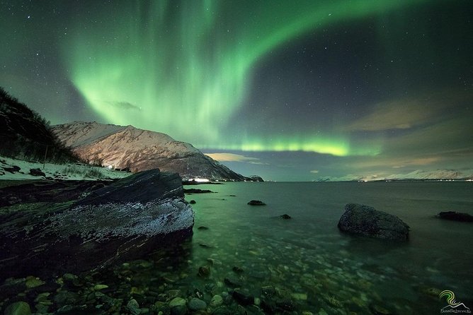 Small-Group Northern Lights Tour from Tromso with Photos - Fires, cake, and warmth beside the road