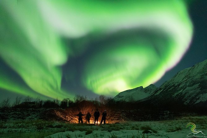 Small-Group Northern Lights Tour from Tromso with Photos - Is $153.25 a fair price?