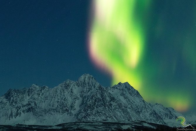 Small-Group Northern Lights Tour from Tromso with Photos - Why the guide can make or break the night