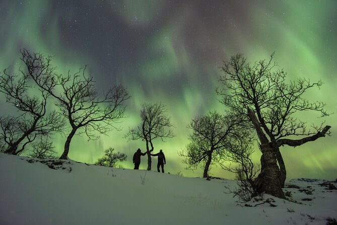 Small Group Quest to find the Northern Lights in Tromsø - Meeting in Tromsø’s old center
