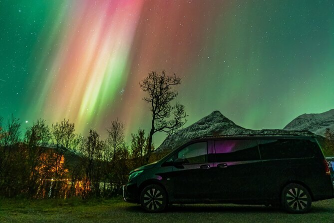 Small Group Van Journey in Search of the Northern Lights - Key points at a glance